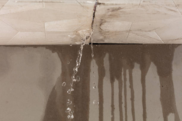Professional Commercial Water Damage Restoration technician working in Ottawa Lake, MI